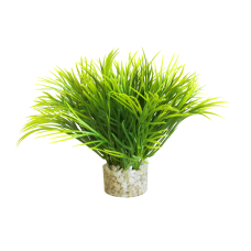 PLANTA AQUATIC LEAVES PLANTA AQUATIC LEAVES